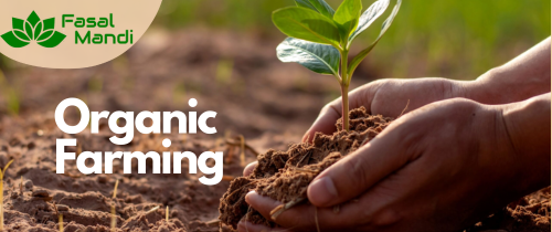 Organic Farming