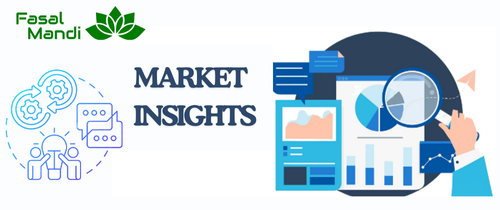 Market Insights