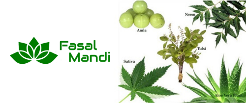 Medicinal Plants