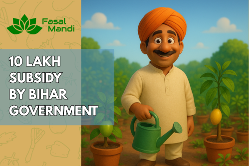 Subsidy
