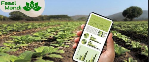Crop Buyers