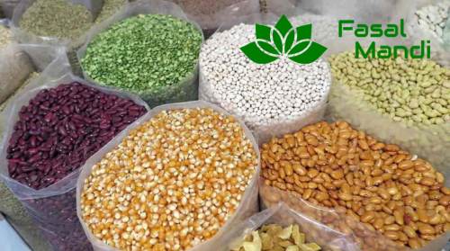 Seeds to Market