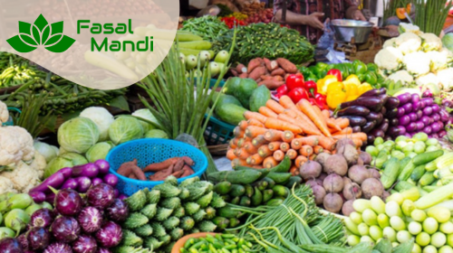 Fresh Vegetables